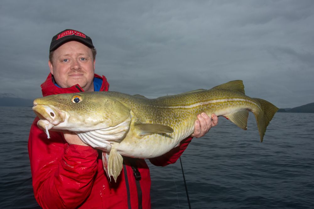 Slowfish Jiggers slow jigs for bigger fish Cod Haddock Ling