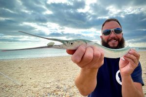 Shore Fishing for Garfish