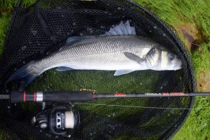 IKA Hunter Bass Lure Fishing