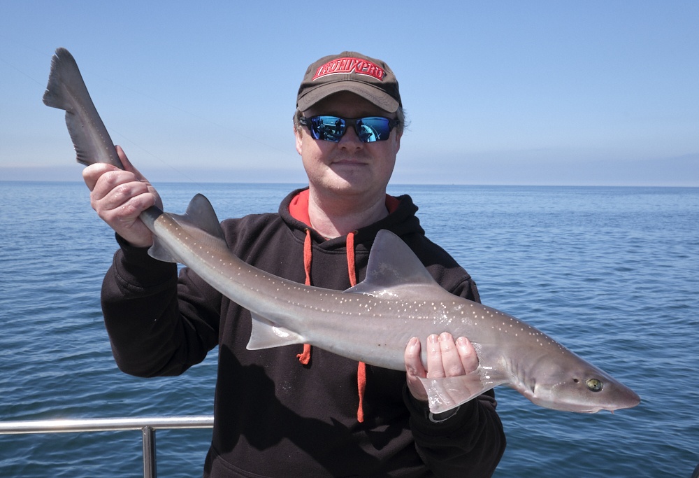 Smoothhound Fishing with Triple Tipped Rods