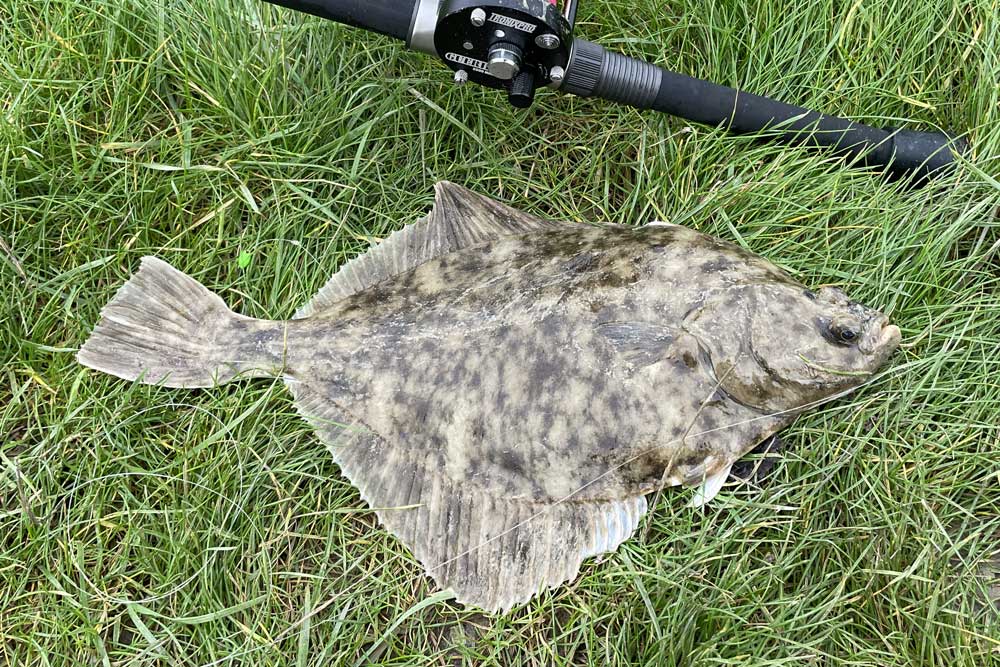 Catching Flounder on Small Baits & Lures - The Fishing Website