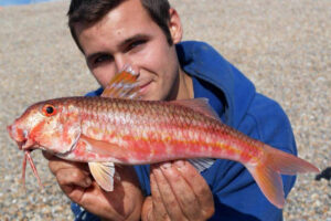 Shore Red Mullet Fishing - Tronix Fishing