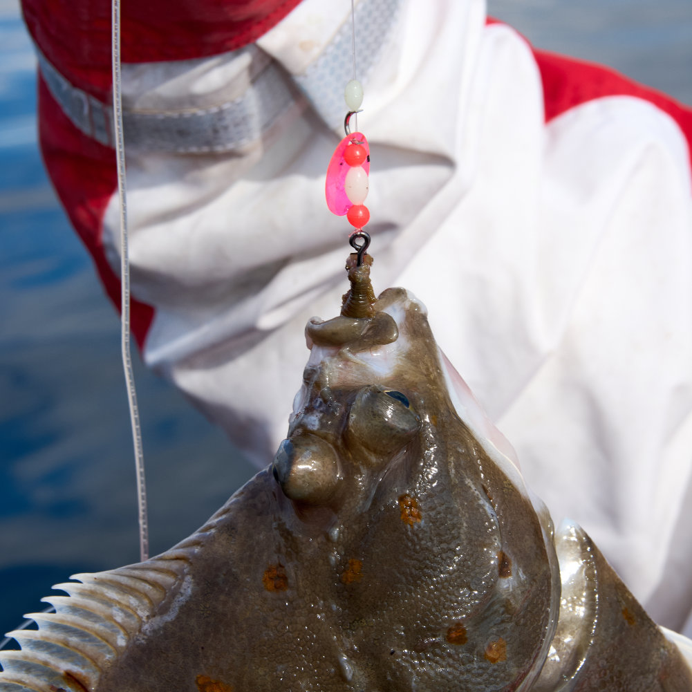 Boat Plaice Fishing