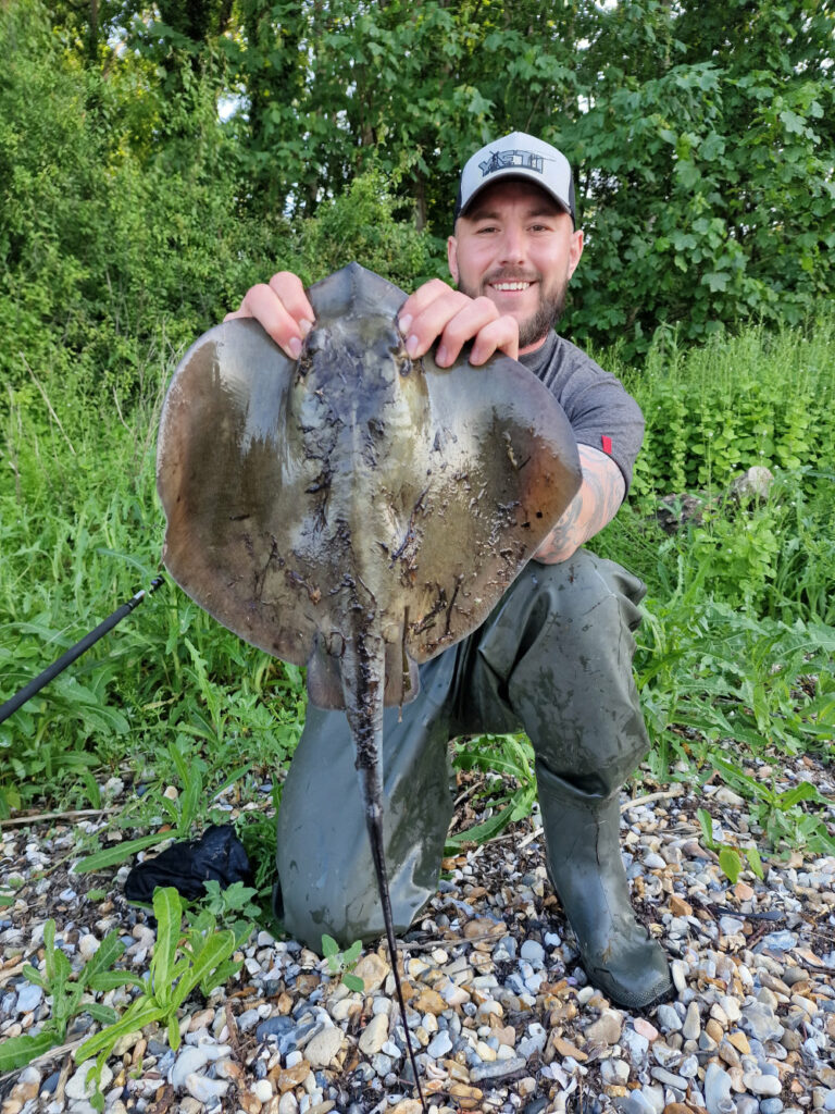 Shore Stingray