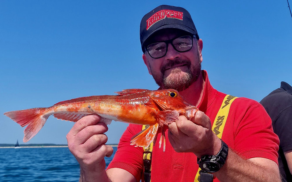 Boat Fishing for Gurnard